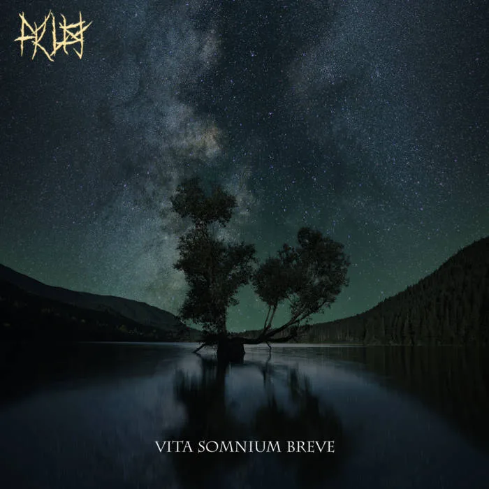 Vita Somnium Breve cover