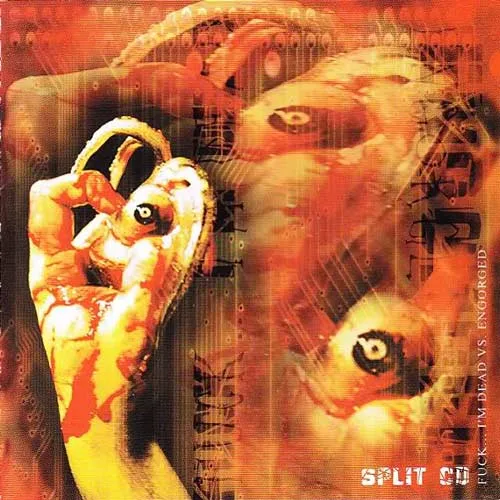 Fuck... I'm Dead vs. Engorged cover