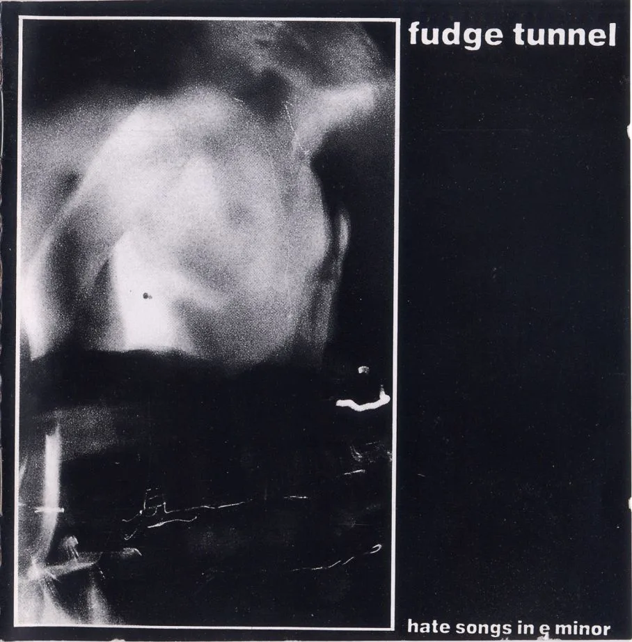 Hate Songs in E minor cover