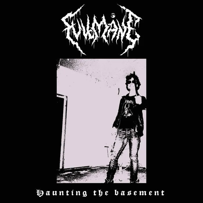 Haunting the Basement cover