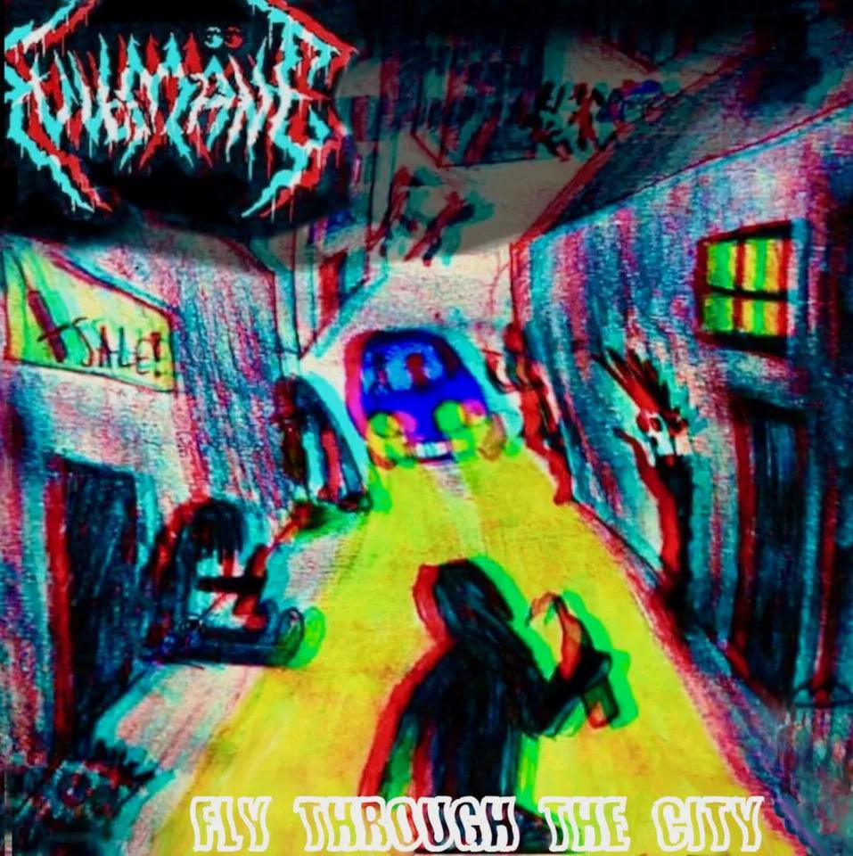 Fly through the City cover