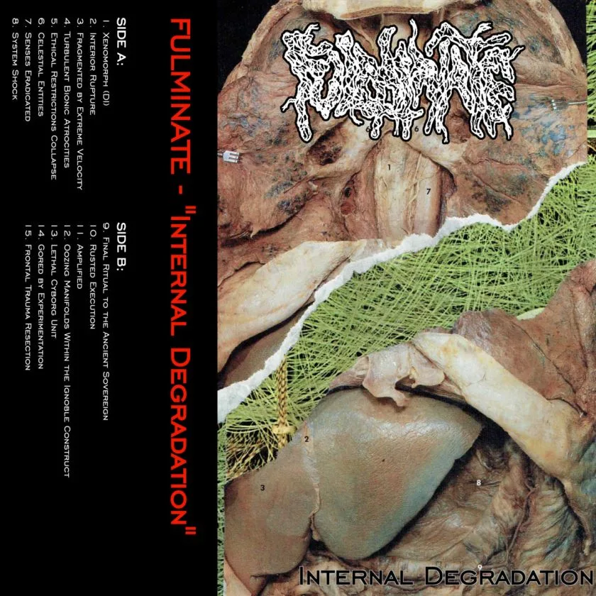 Internal Degradation cover