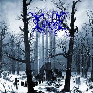 Beholding the Covenant Stone cover