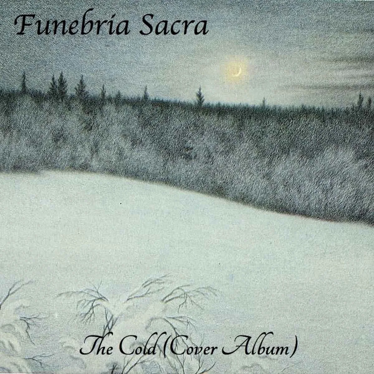 The Cold (Cover Album) cover