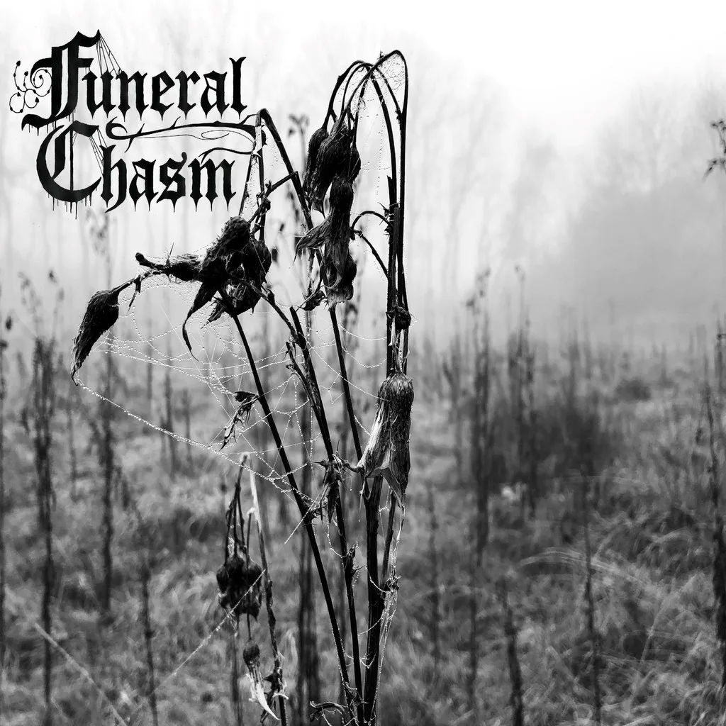 Reflection From Grief cover