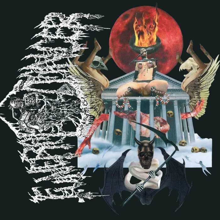 They Come for You cover