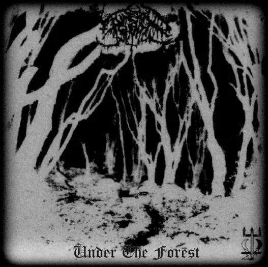 Under the Forest cover