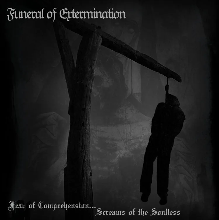 Fear of Comprehension/Screams of the Soulless cover