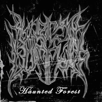 Haunted Forest cover