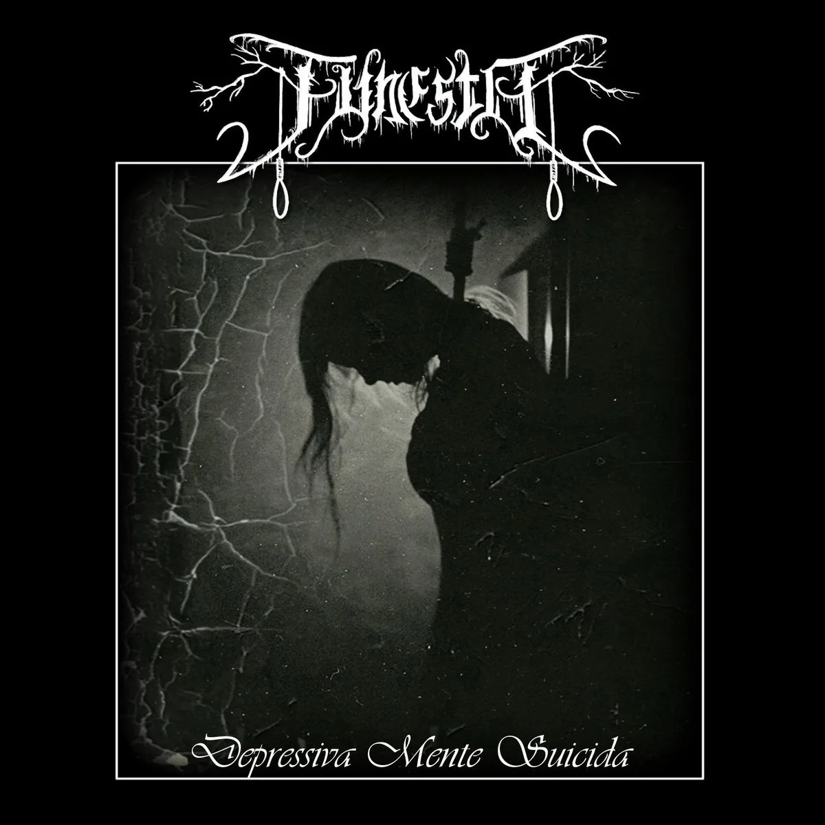 Depressiva Mente Suicida cover