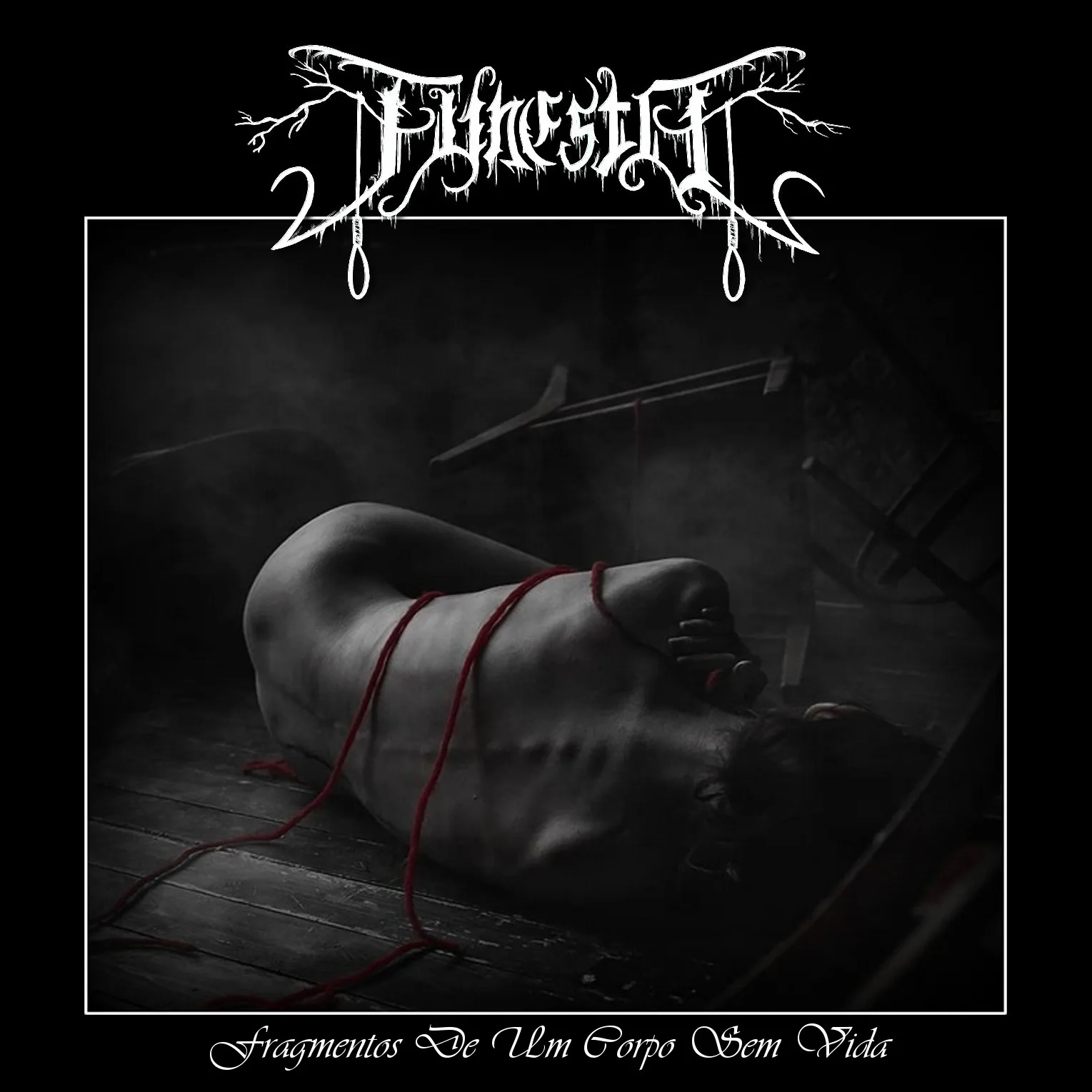 Fragmentos De um corpo Sem vida cover