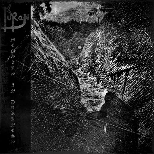 Memoirs in Darkness cover