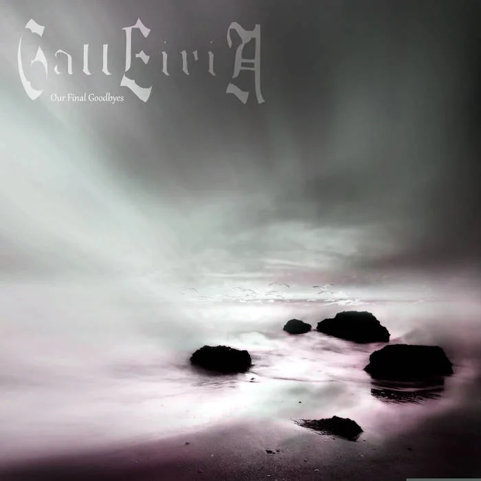 Our Final Goodbyes cover