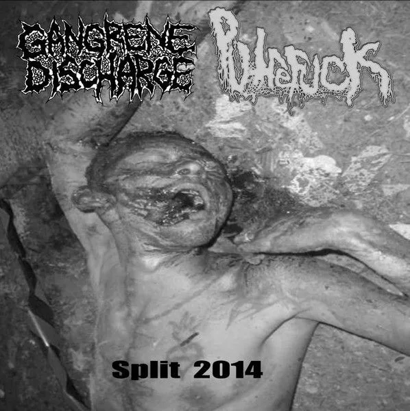 Split 2014 cover