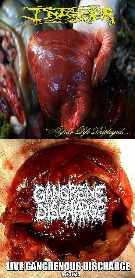 Your Life Displayed.... / Live Gangrenous Discharge cover