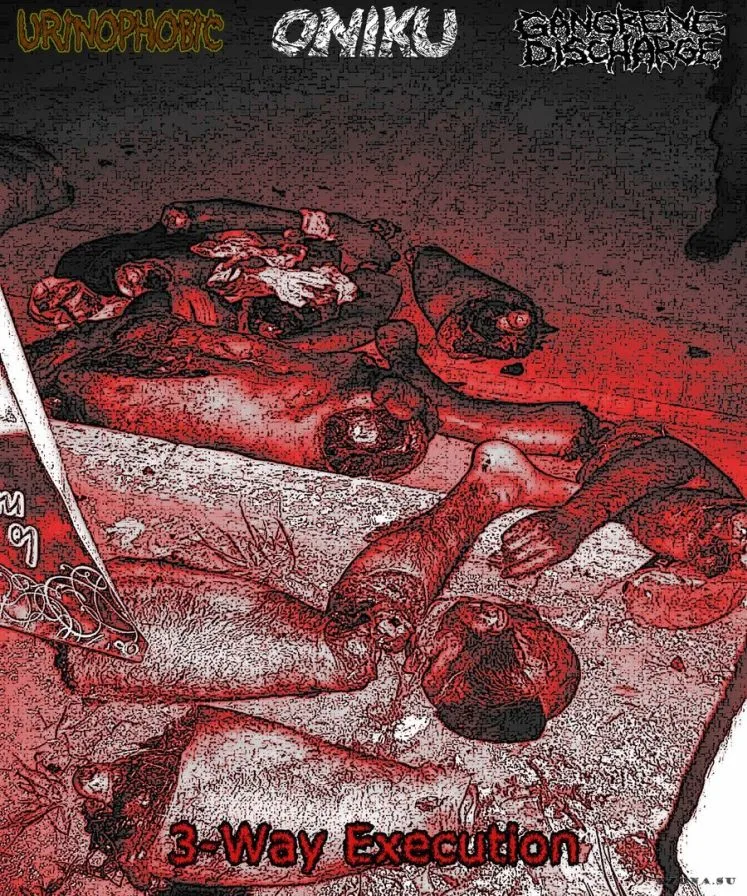 3-Way Execution cover