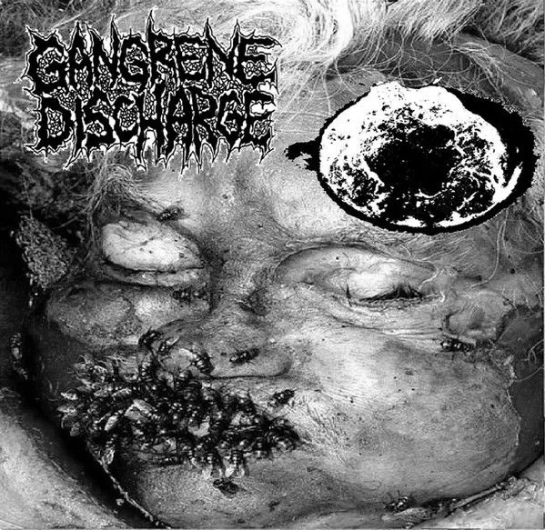 Gangrene Discharge / Enterococcaceae cover