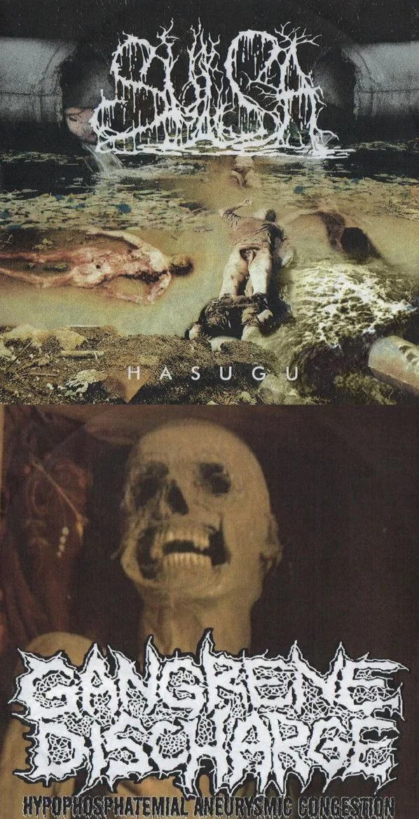 Hasugu / Hypophosphatemial Aneurysmic Congestion cover