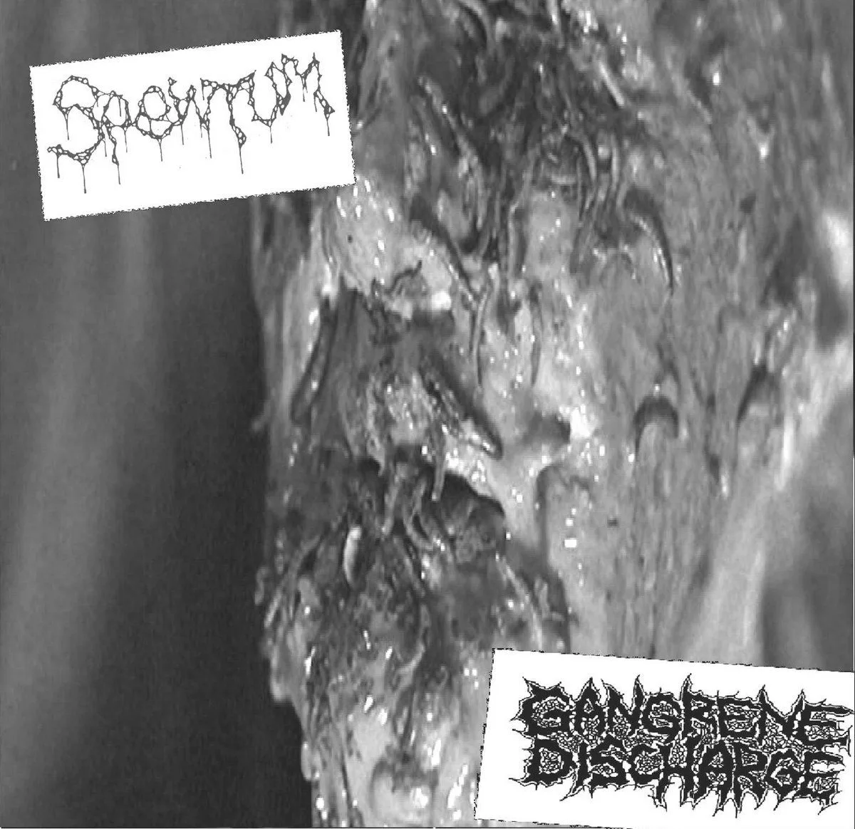 Spewtum / Gangrene Discharge cover