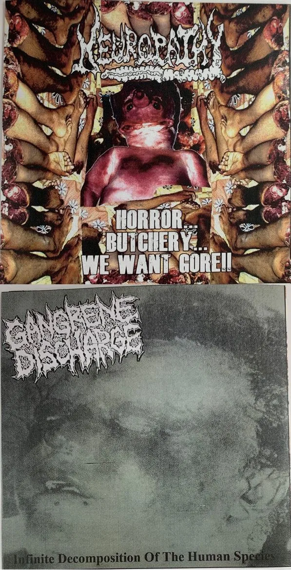Horror... Butchery... We Want Gore!! / Infinite Decomposition of the Human Species cover