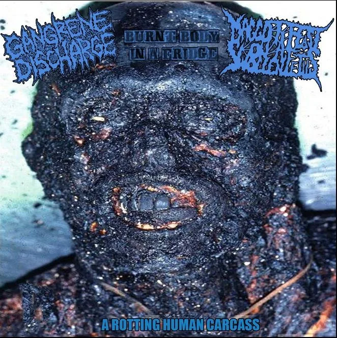 A Rotting Human Carcass cover