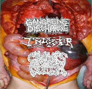 Gangrene Discharge / Infester / Clumps of Flesh cover