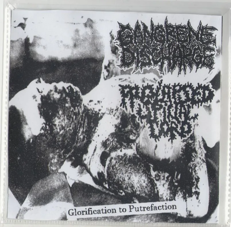 Glorification of Putrefaction cover
