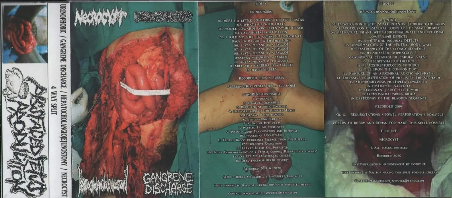 Urinophobic / Gangrene Discharge / Hepatocholangiojejunostomy / Necrocyst cover