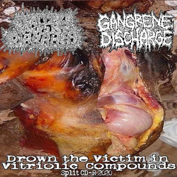 Drown the Victim in Vitriolic Compounds cover