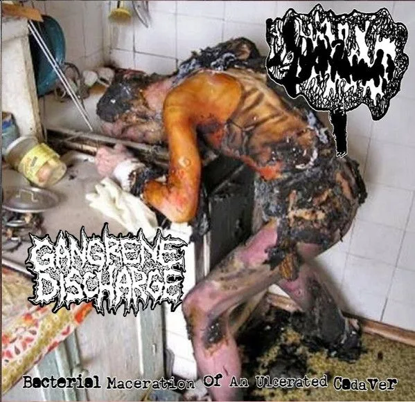 Bacterial Maceration of an Ulcerated Cadaver cover