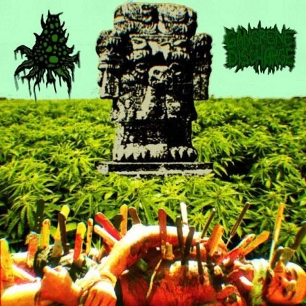 BudRot / Gangrene Discharge cover