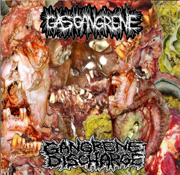 Gas Gangrene / Gangrene Discharge cover