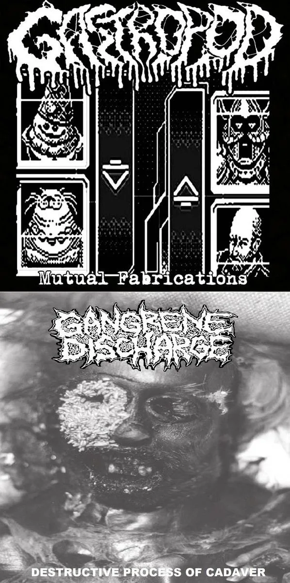 Mutual Fabrications / Destructive Process of Cadaver cover