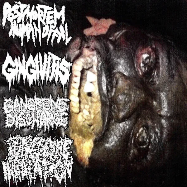 Postmortem Human Offal  / Gingivitis / Gangrene Discharge / Putrescine Inhalation cover