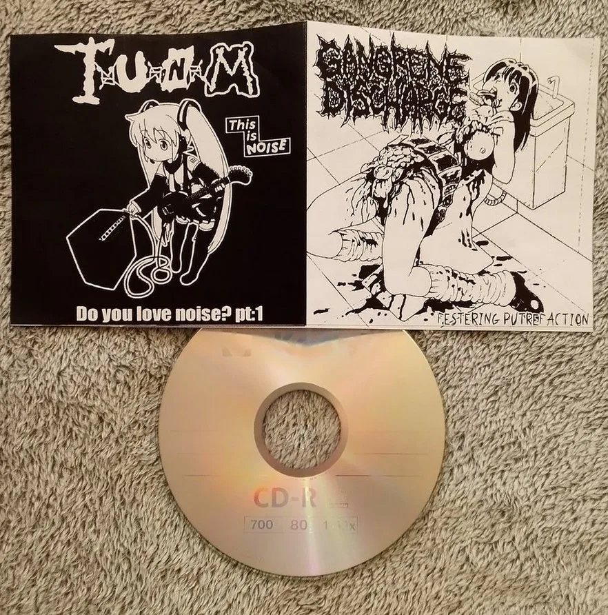 Festering Putrefaction / This Is Noise - Do You Love Noise? Pt:1 cover