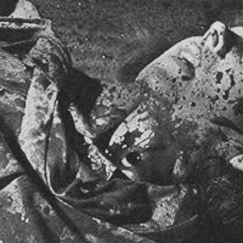 Pierced Neurosis cover