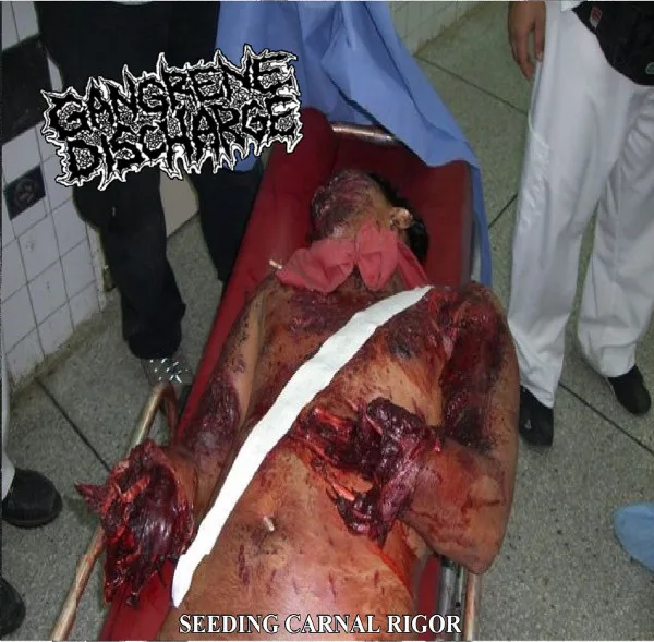 Seeding Carnal Rigor / Live Gorenoise Assault!!! cover