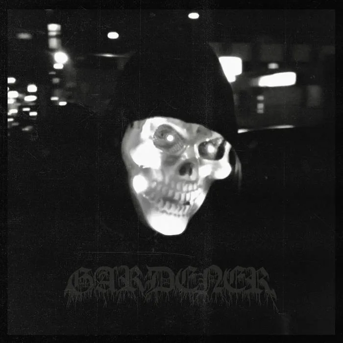 Maybe We Failed cover