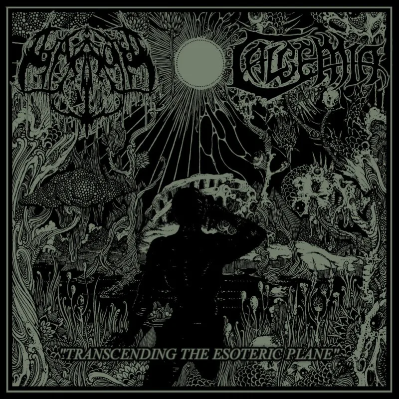 Transcending the Esoteric Plane cover