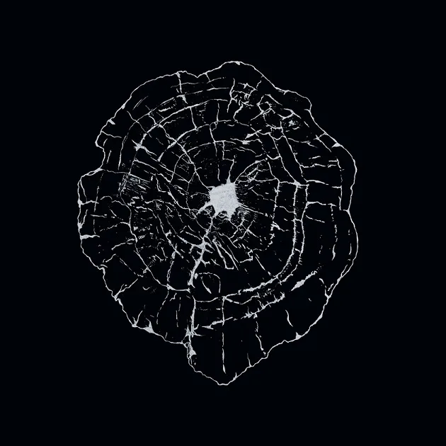 Still Unavailing cover