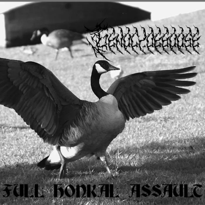 Full Honkal Assault cover