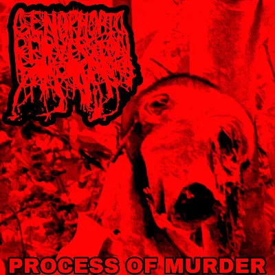 Process of Murder cover