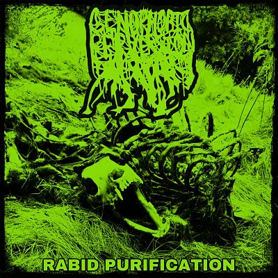 Rabid Purification cover