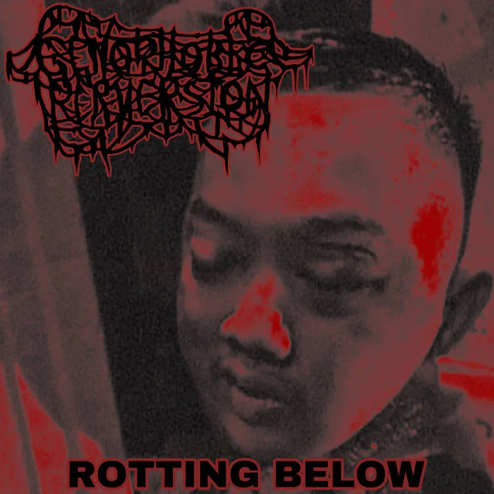 Rotting Below cover