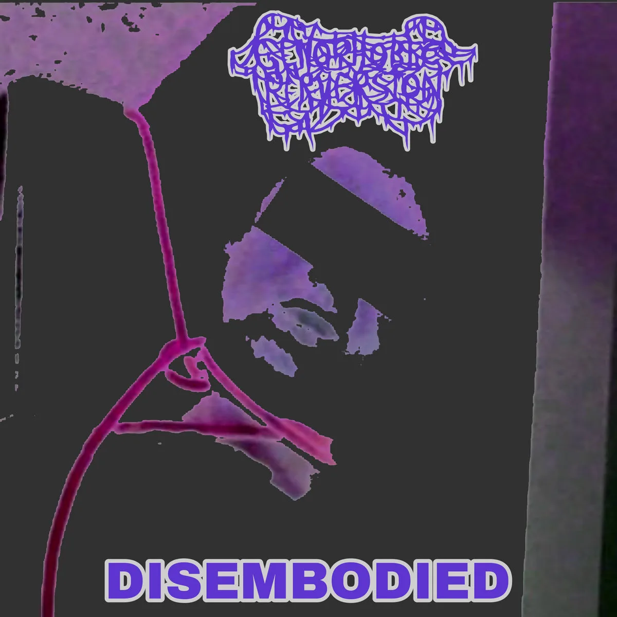 Disembodied cover