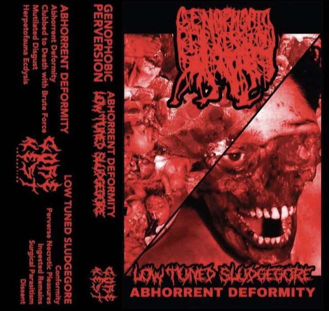 Abhorrent Deformity / Low Tuned Sludgegore cover