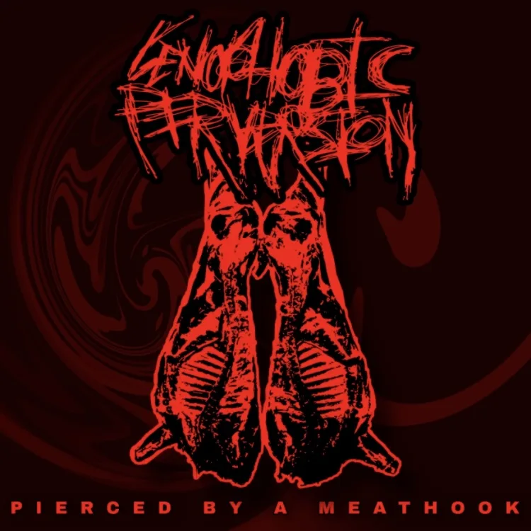 Pierced by a Meathook cover