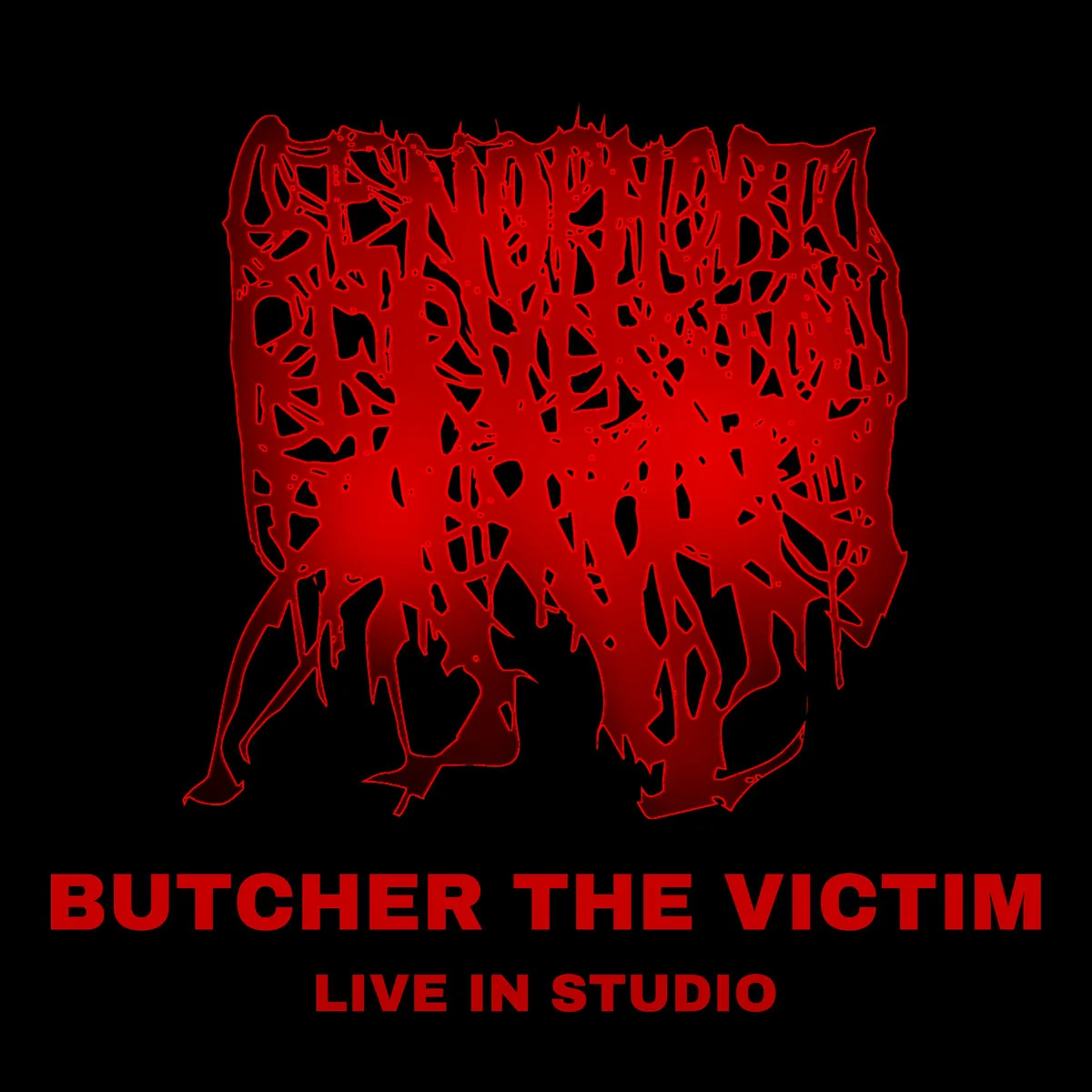 Butcher the Victim (Live in Studio) cover