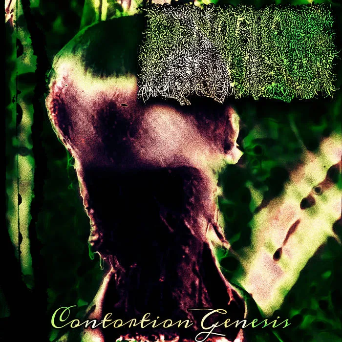 Contortion Genesis cover