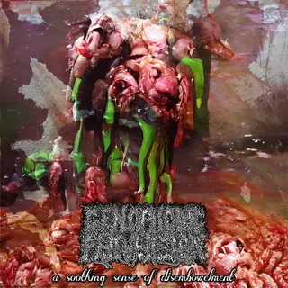 A Soothing Sense of Disembowelment cover